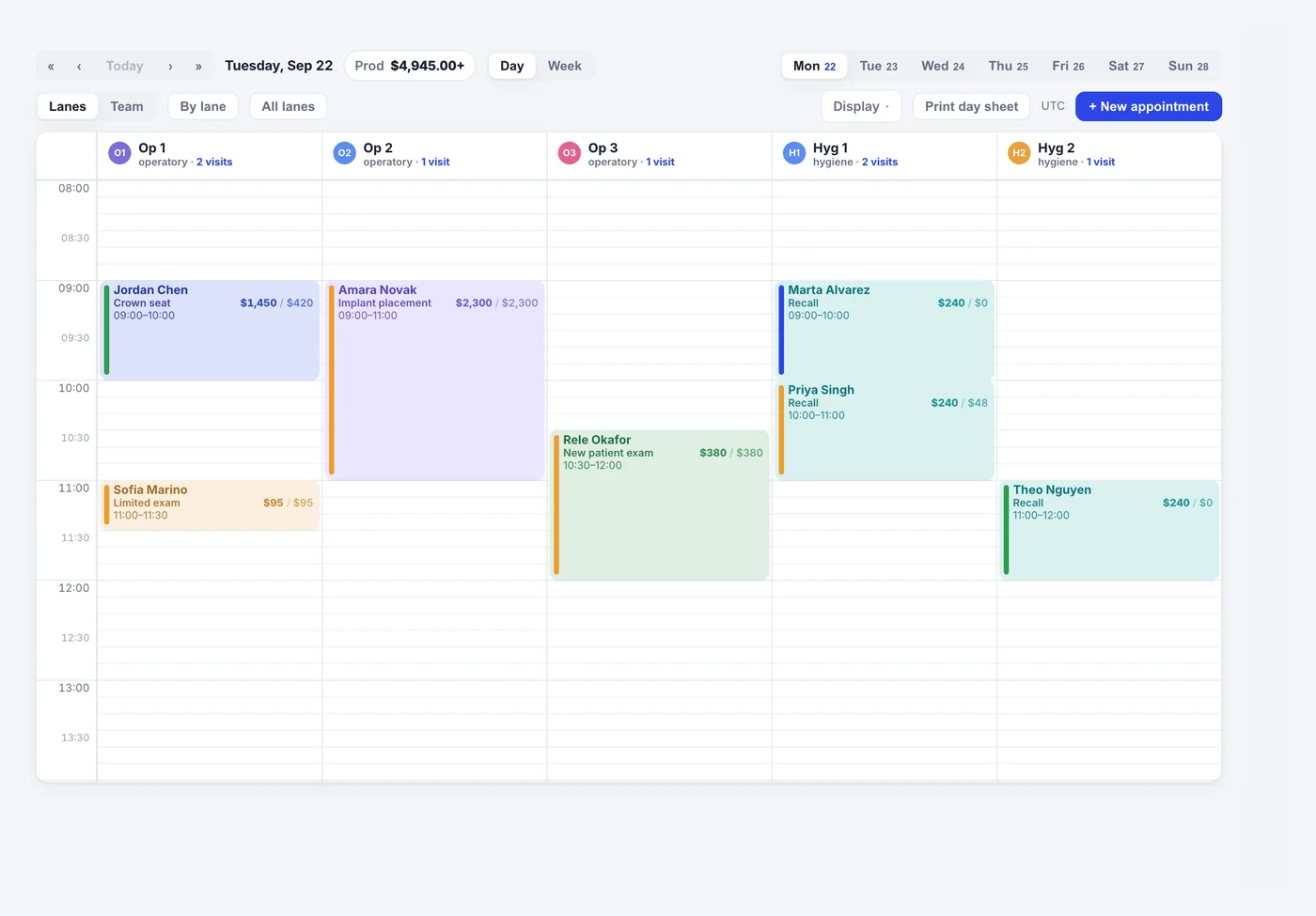 The schedule board — lanes, visit types by colour, and production on every block